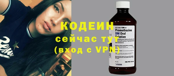 молекула духа Краснослободск
